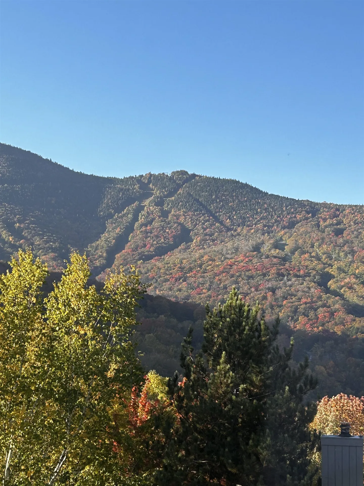 27 Ravine Lane Lincoln NH 03251