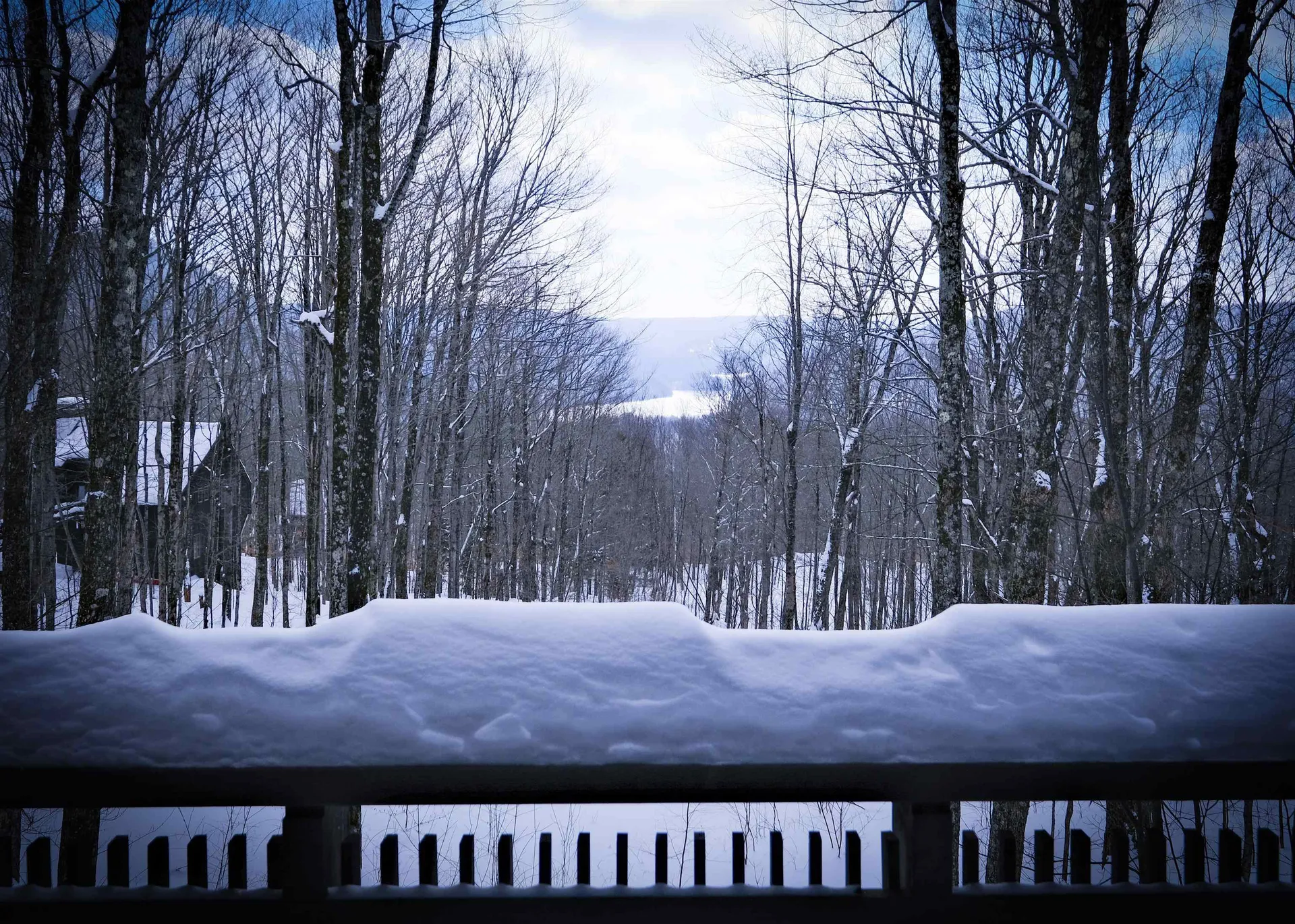 133 Snowy Owl Lane Plymouth VT 05056