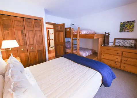 133 Snowy Owl Lane Plymouth VT 05056