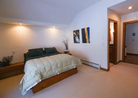 133 Snowy Owl Lane Plymouth VT 05056