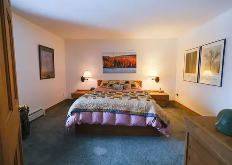 133 Snowy Owl Lane Plymouth VT 05056