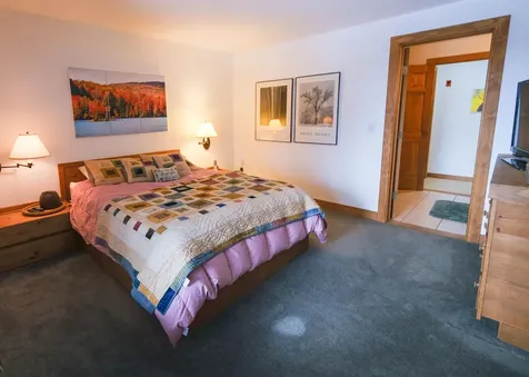 133 Snowy Owl Lane Plymouth VT 05056