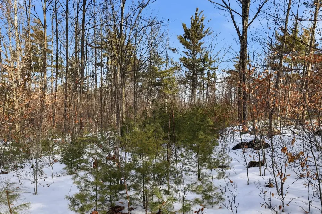 Tax Map5b Lot97 Nh Route 114 Henniker NH 03242