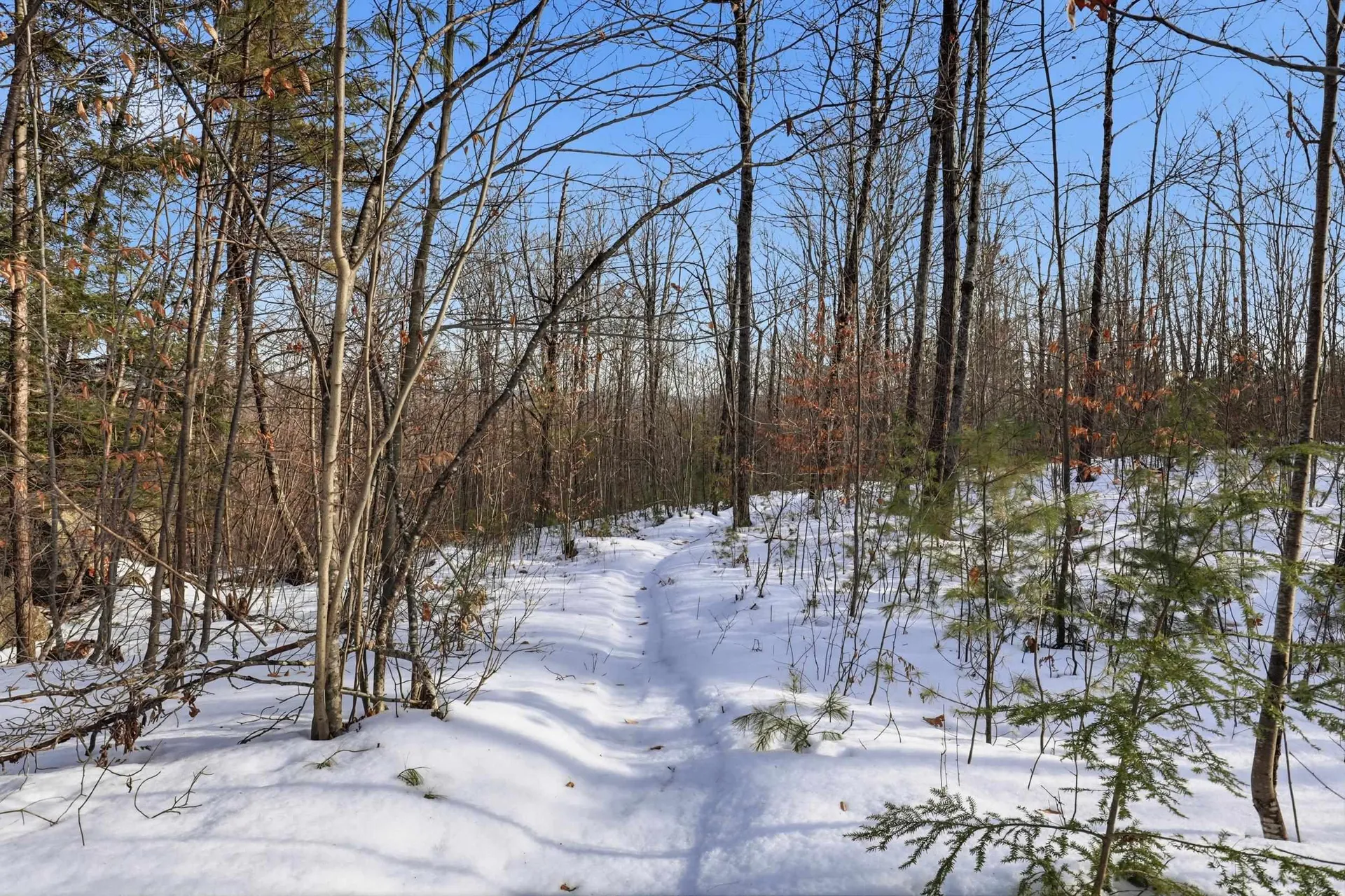 Tax Map5b Lot97 Nh Route 114 Henniker NH 03242