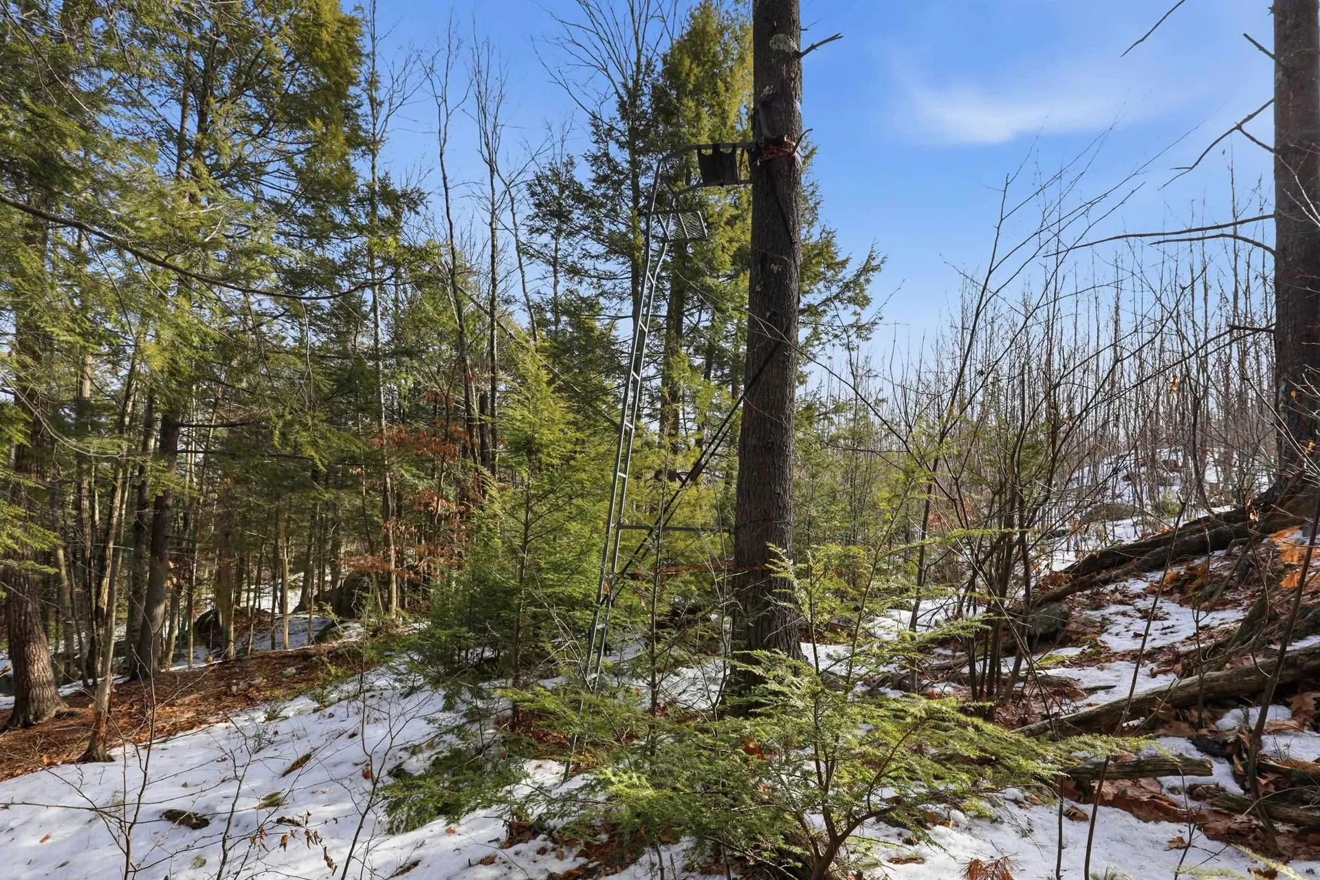 Tax Map5b Lot97 Nh Route 114 Henniker NH 03242