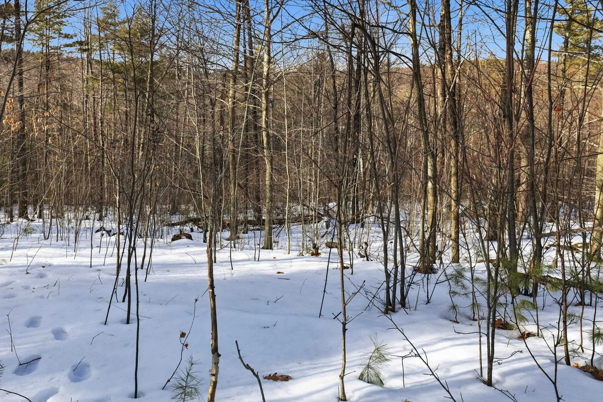 Tax Map5b Lot97 Nh Route 114 Henniker NH 03242