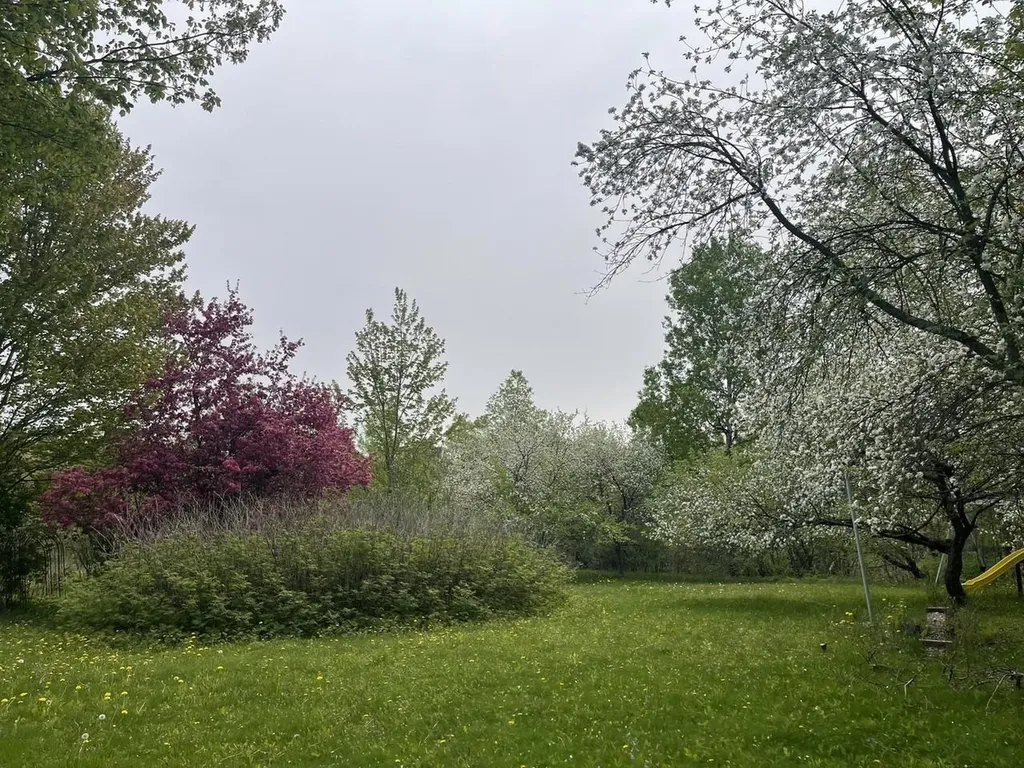 51 Rainy View Lane Essex VT 05452