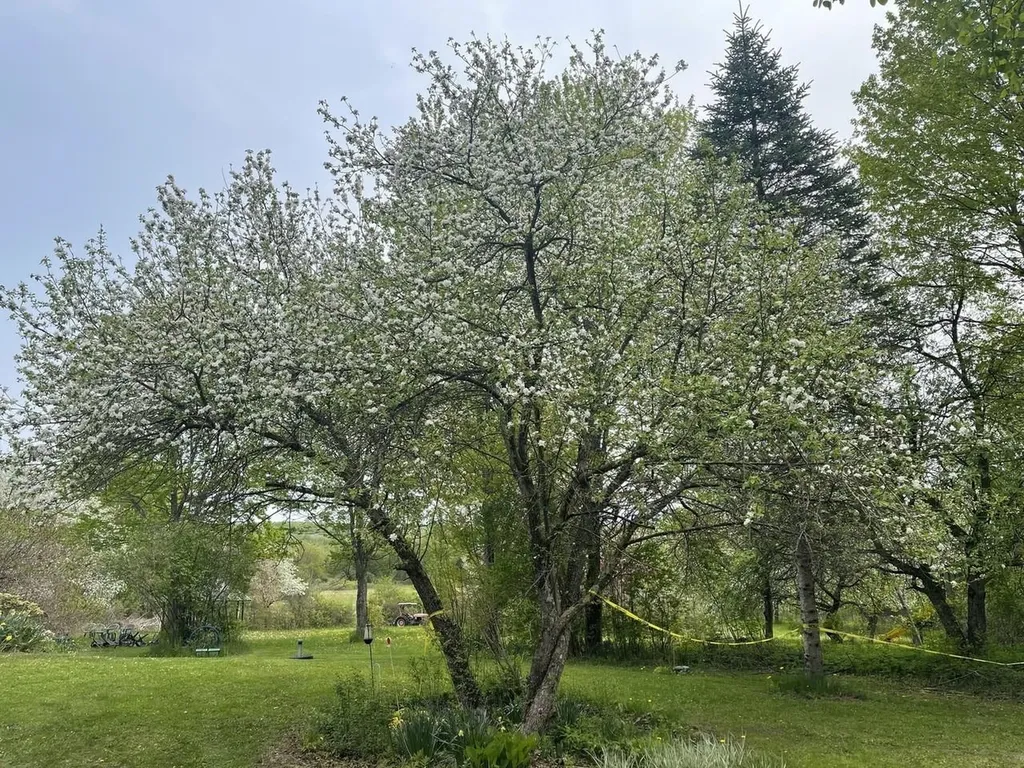 51 Rainy View Lane Essex VT 05452