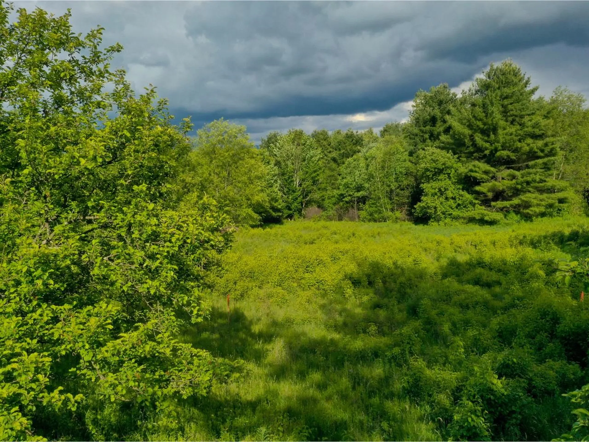 51 Rainy View Lane Essex VT 05452