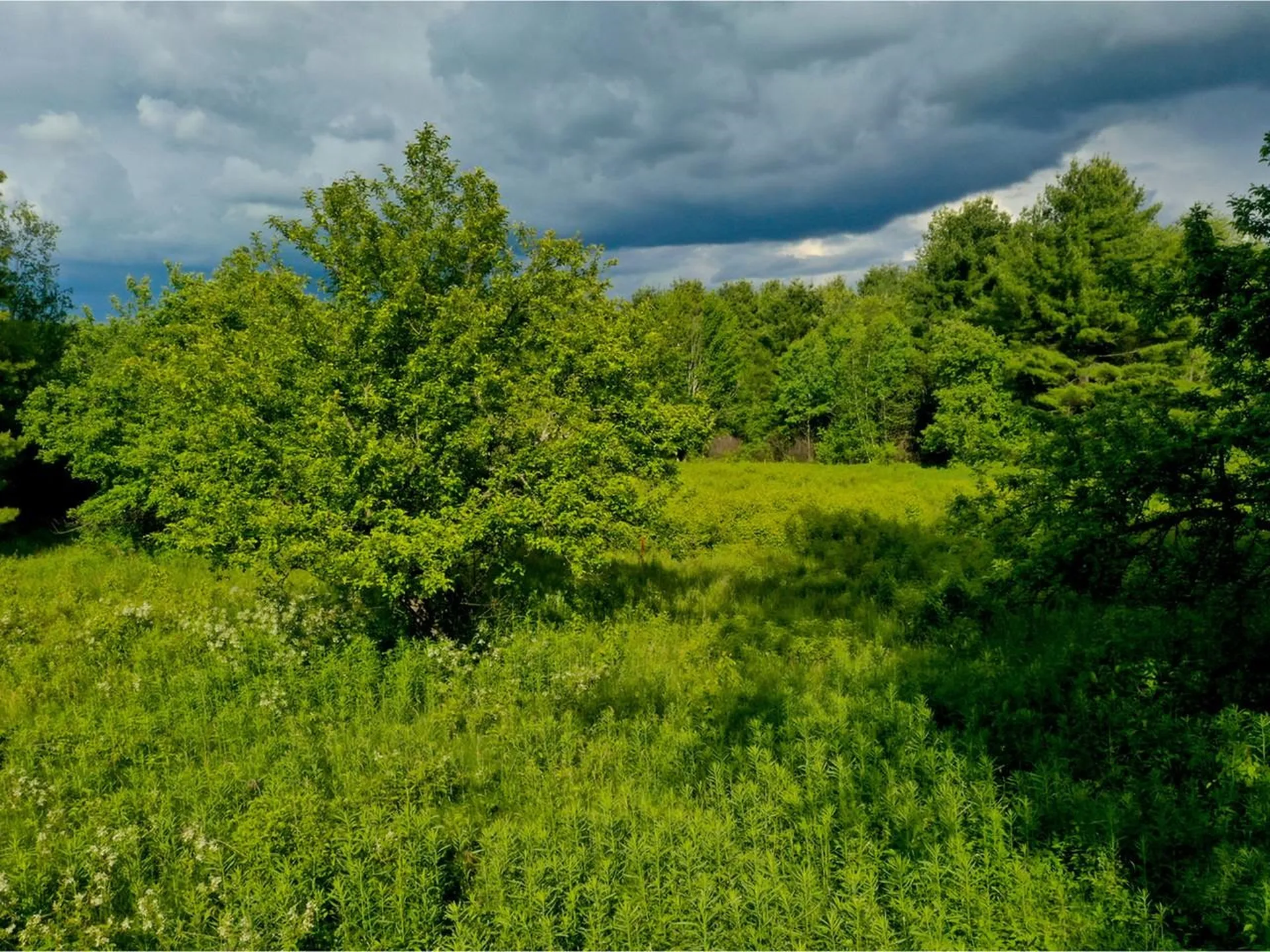 51 Rainy View Lane Essex VT 05452