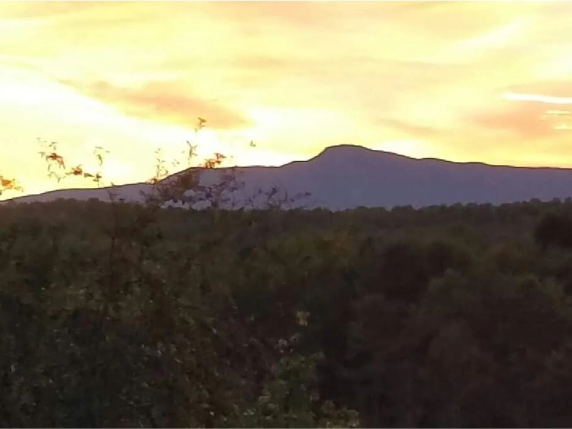 51 Rainy View Lane Essex VT 05452