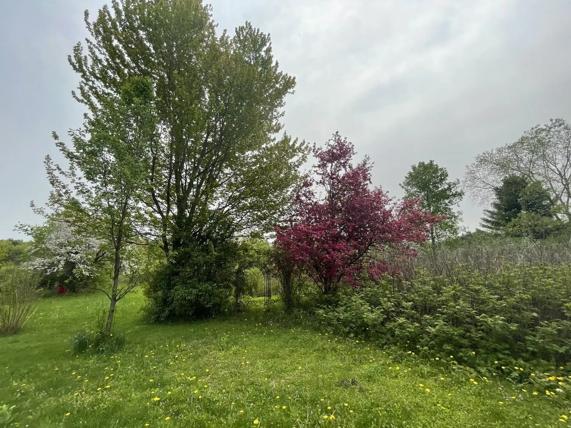 51 Rainy View Lane Essex VT 05452