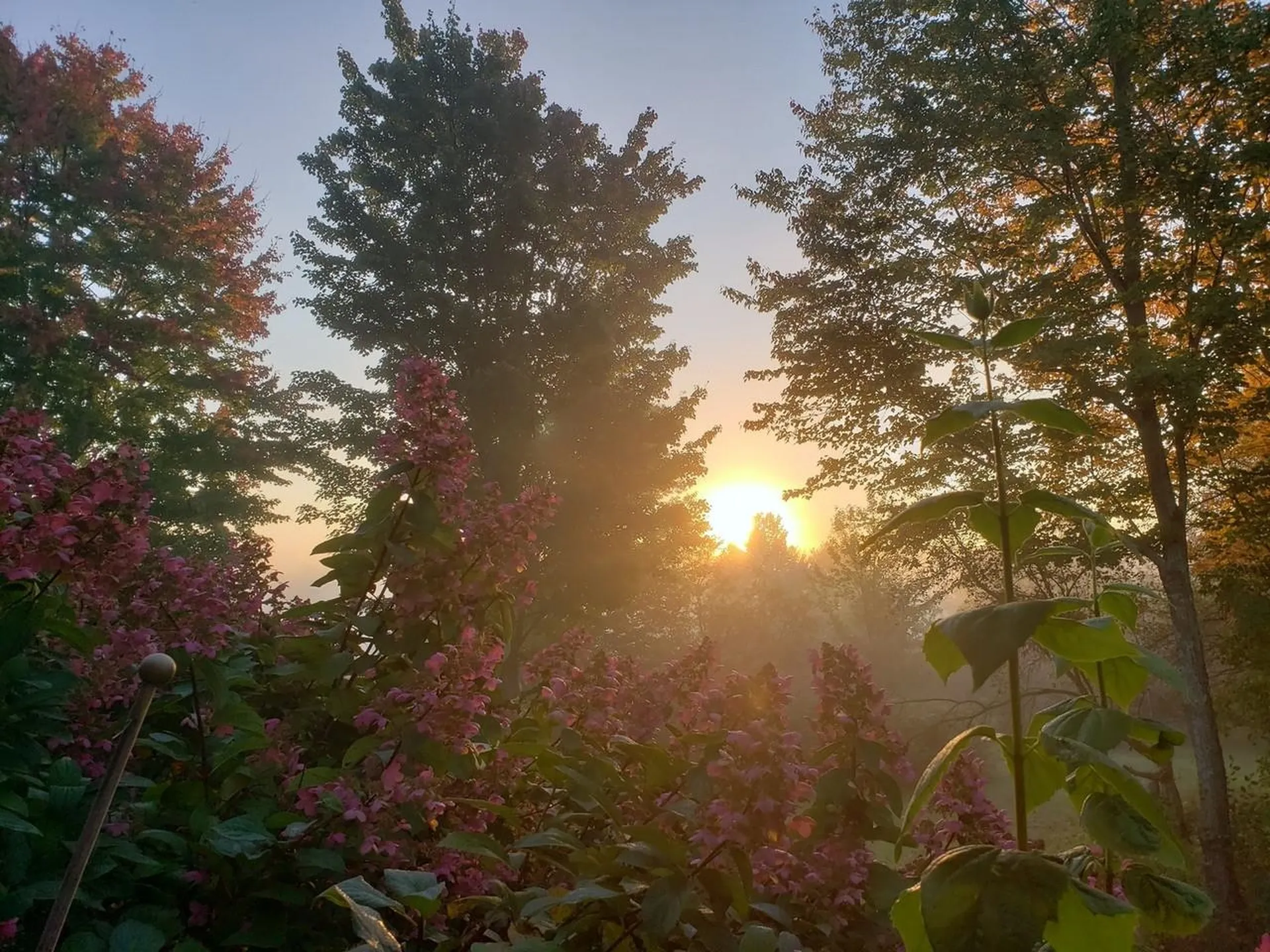 51 Rainy View Lane Essex VT 05452