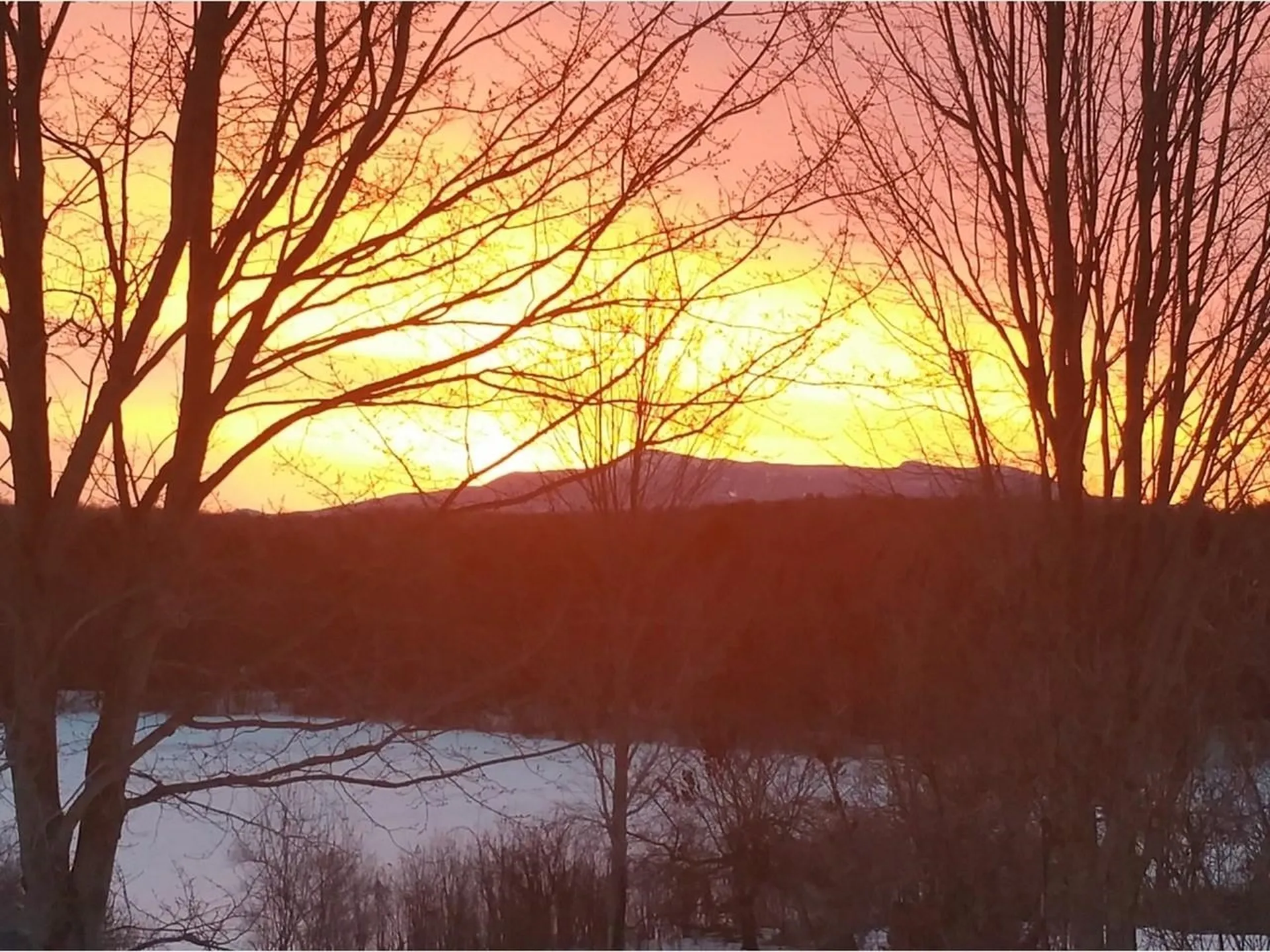 51 Rainy View Lane Essex VT 05452