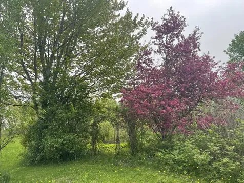 51 Rainy View Lane Essex VT 05452