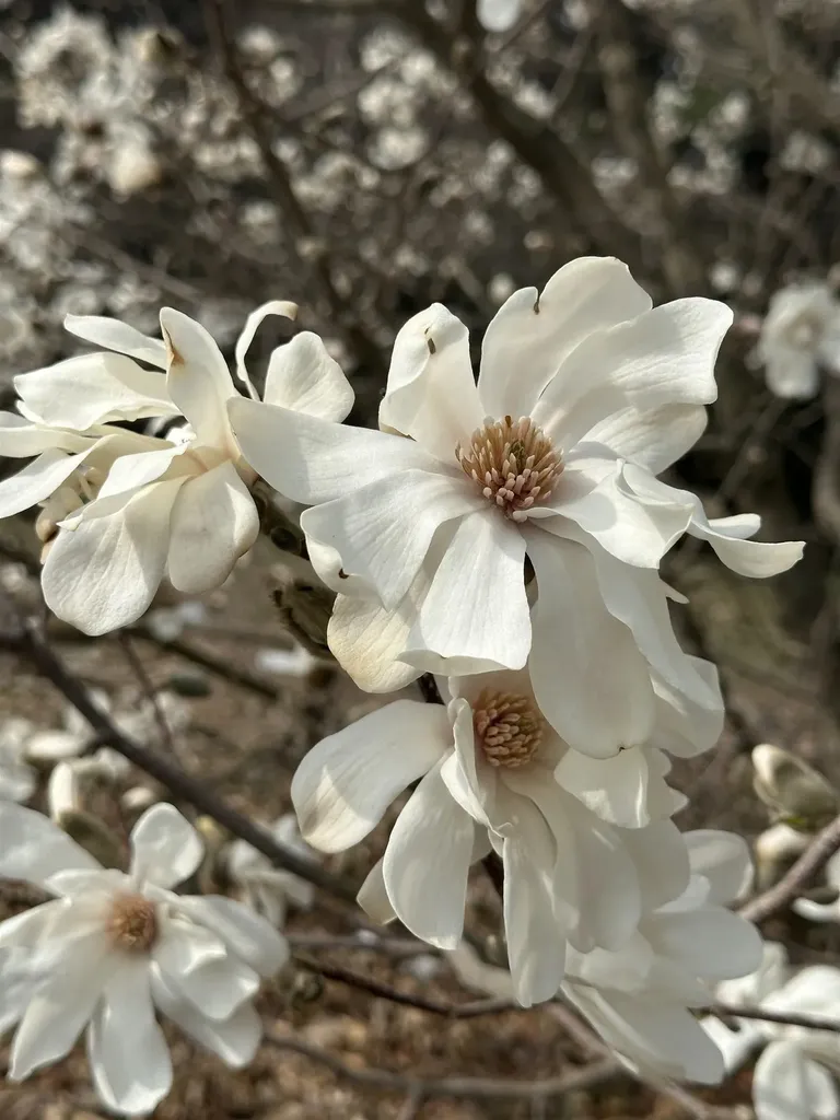 1036 Back River Road Royalton VT 05068