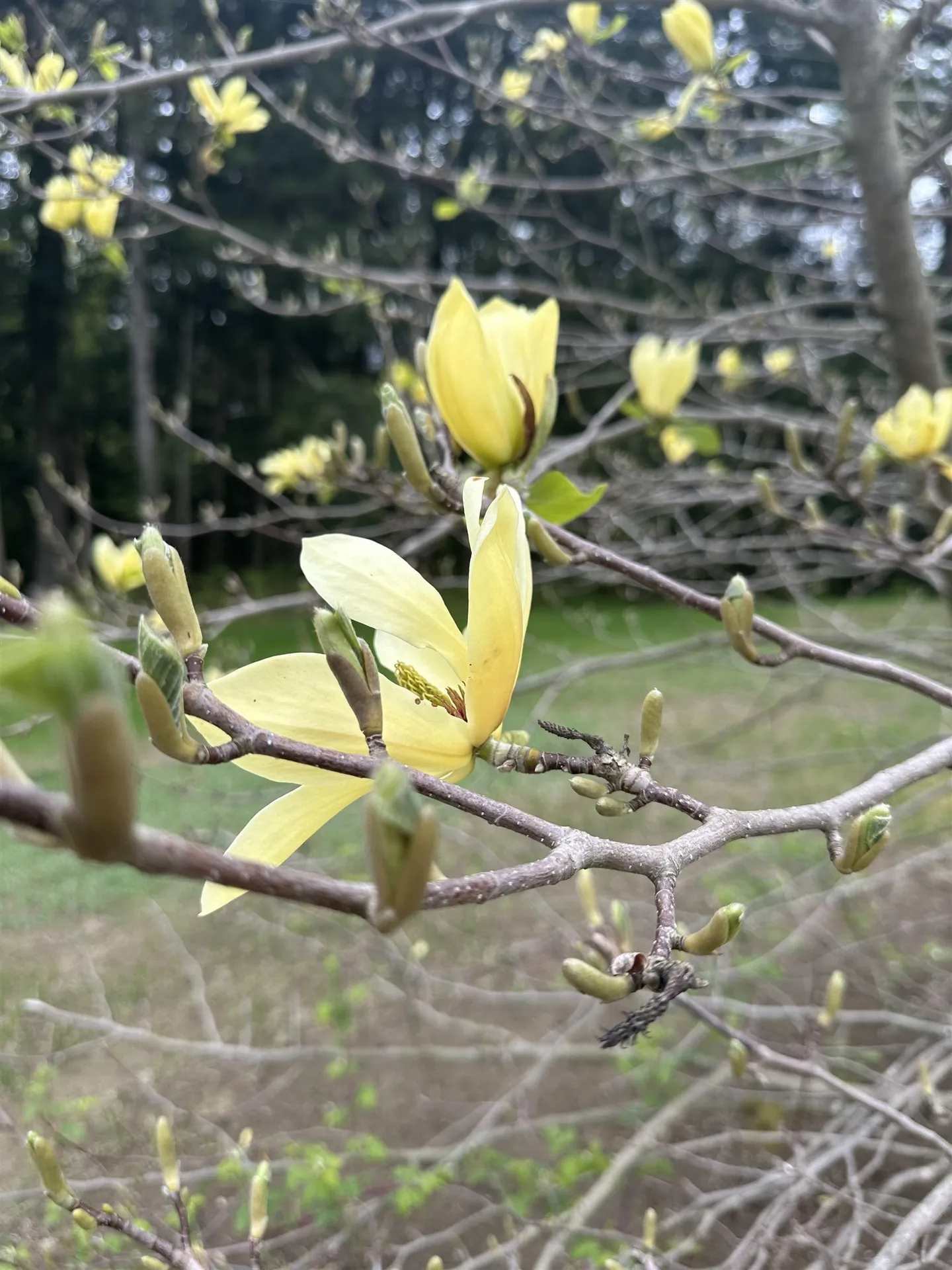 1036 Back River Road Royalton VT 05068