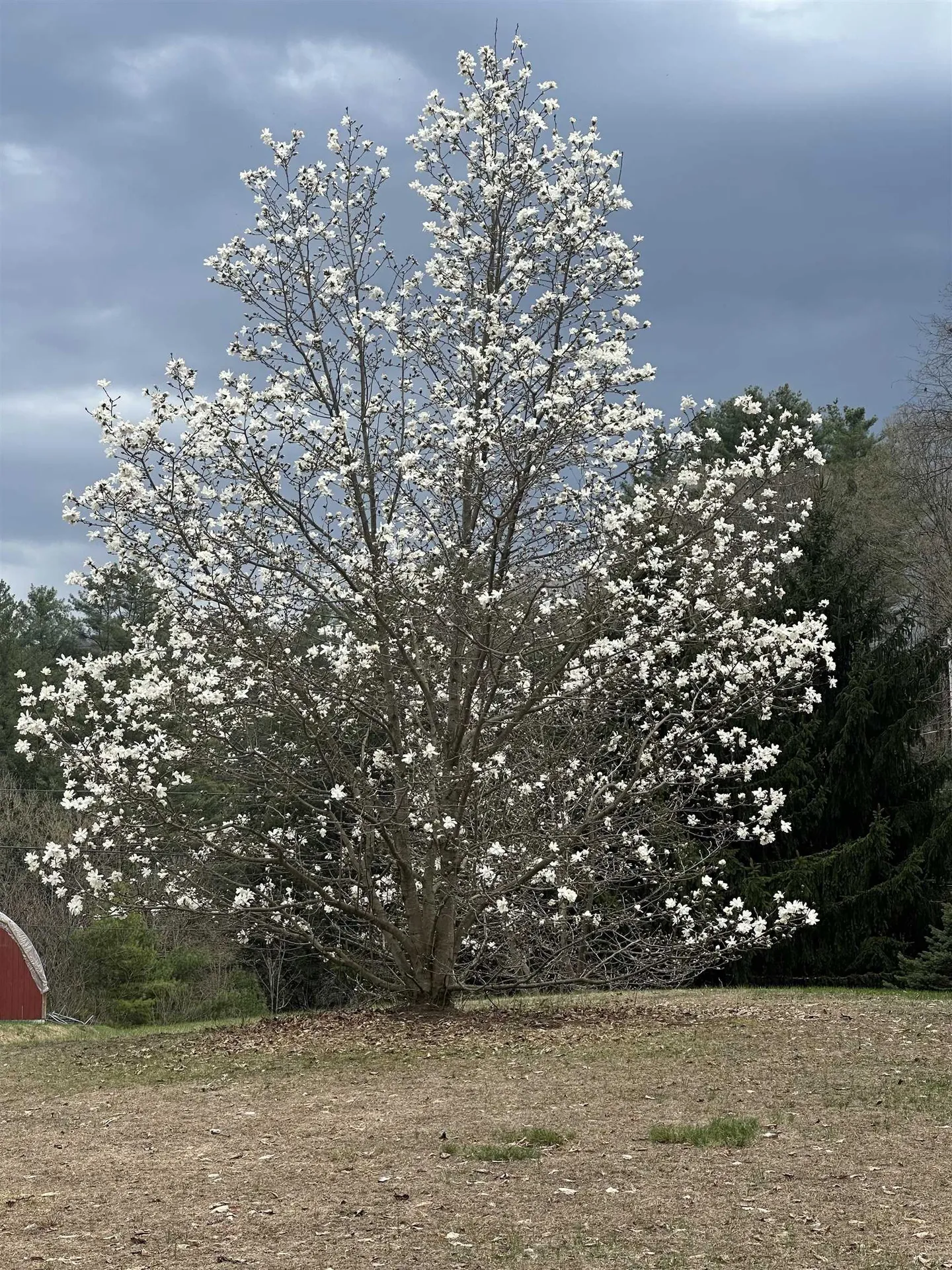 1036 Back River Road Royalton VT 05068