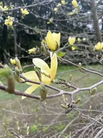 1036 Back River Road Royalton VT 05068