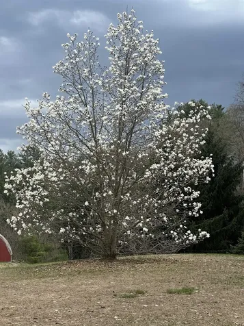 1036 Back River Road Royalton VT 05068