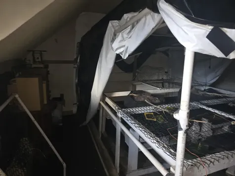 552 - 554 Hinesburg Road Brattleboro VT 05301