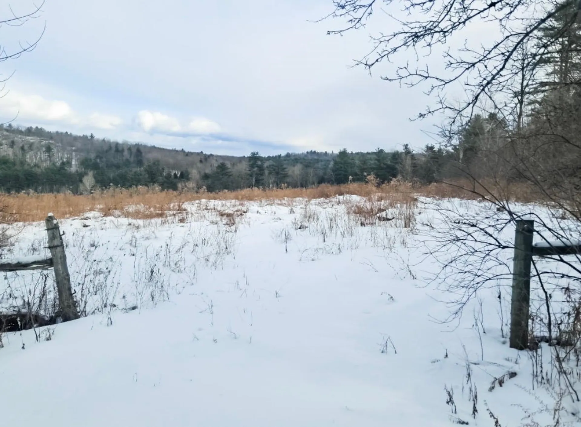 1567 Hollow Road Ferrisburgh VT 05473