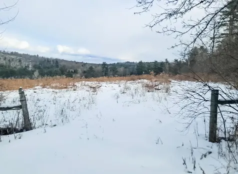 1567 Hollow Road Ferrisburgh VT 05473