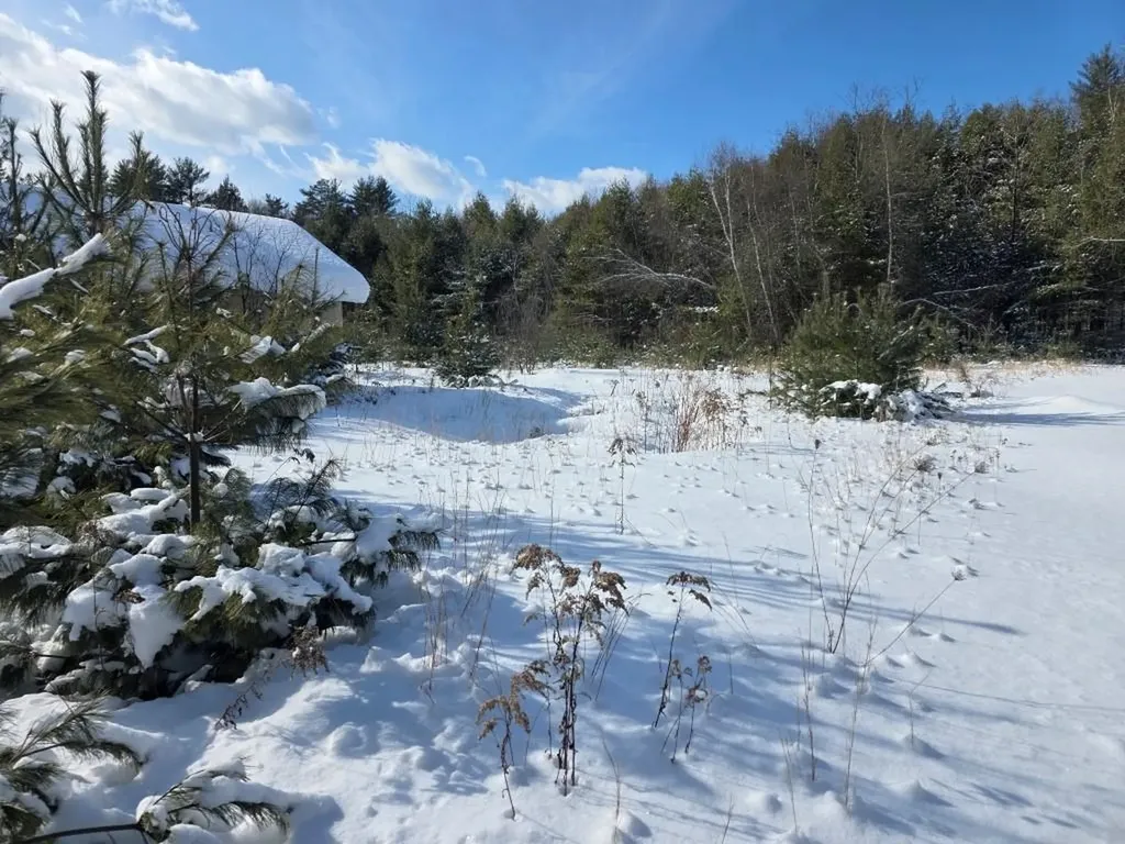 108 Kempton Road Swanzey NH 03446