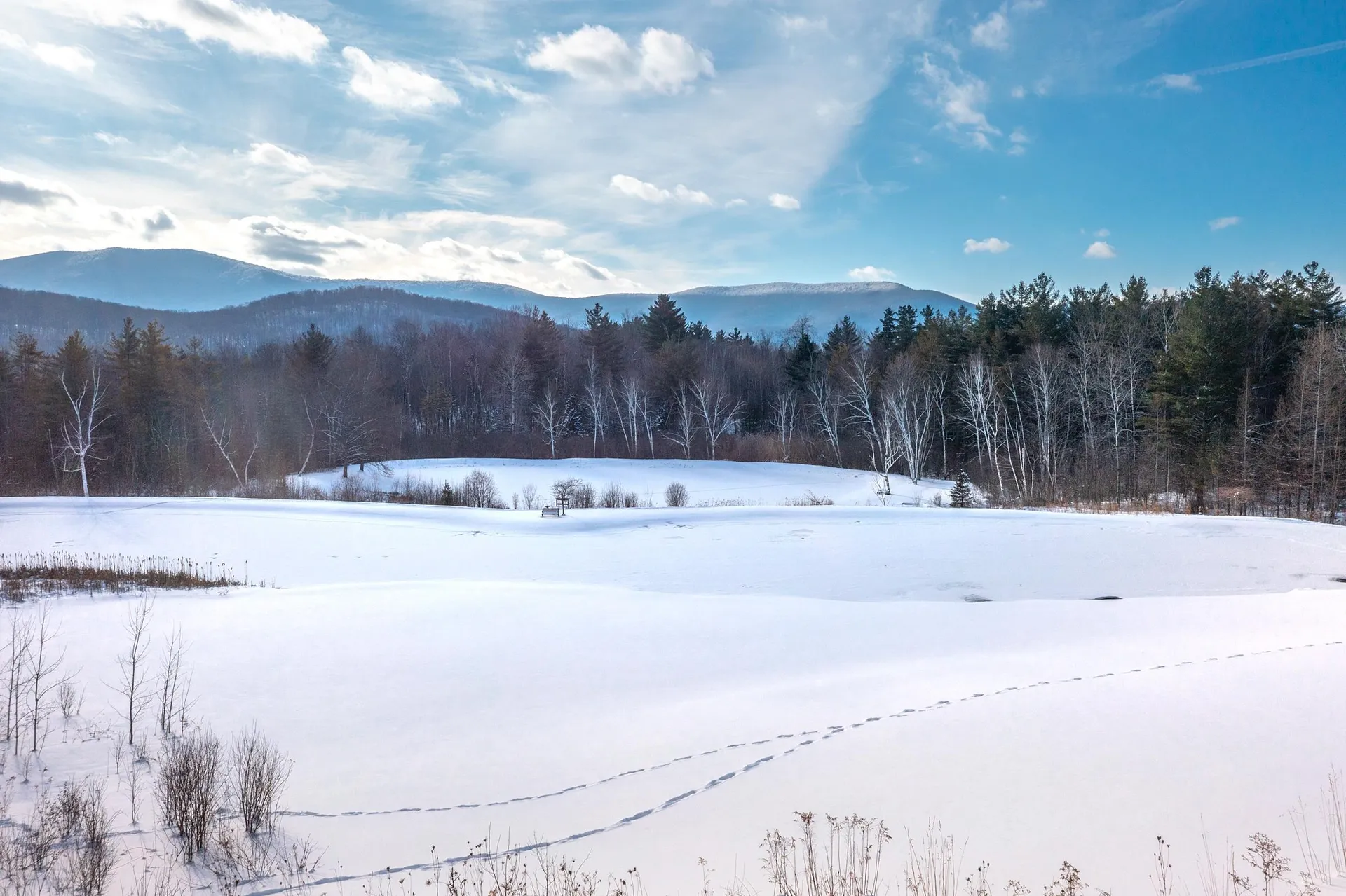 1060 Upper Hollow Road Dorset VT 05251