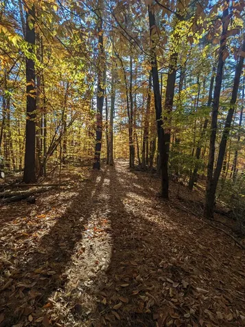 1520 Province Road Gilmanton NH 03237