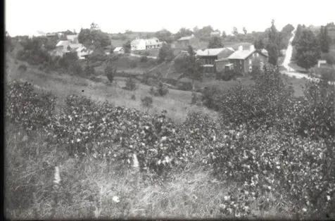 1520 Province Road Gilmanton NH 03237