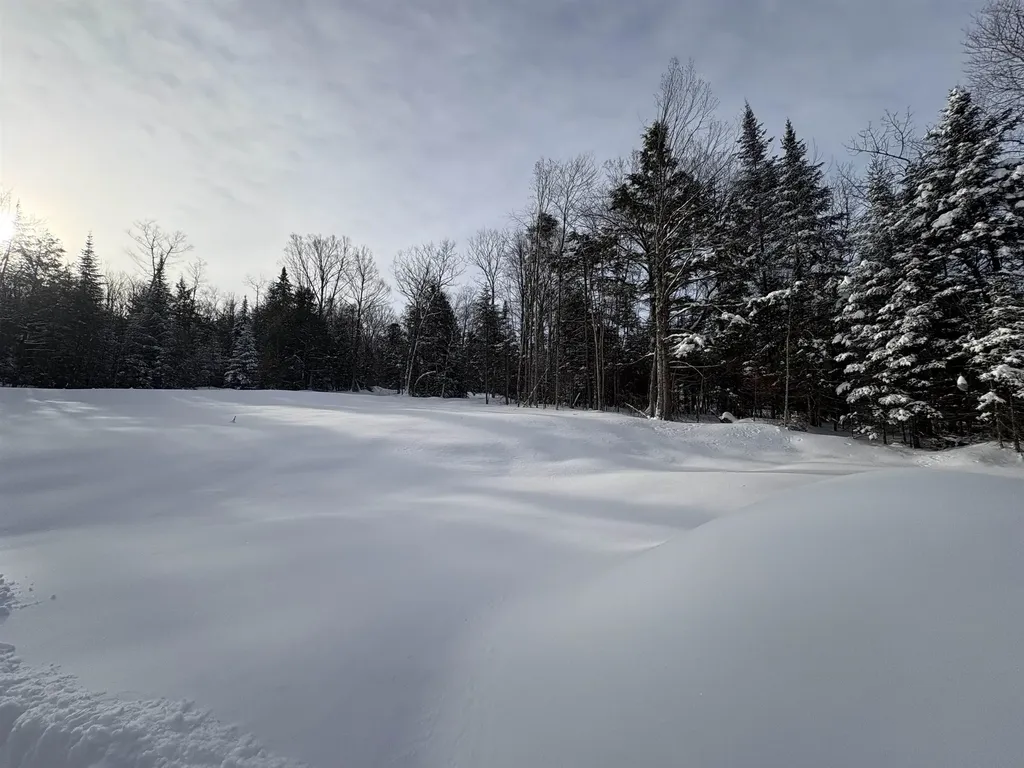 905 Peak Road Wheelock VT 05851