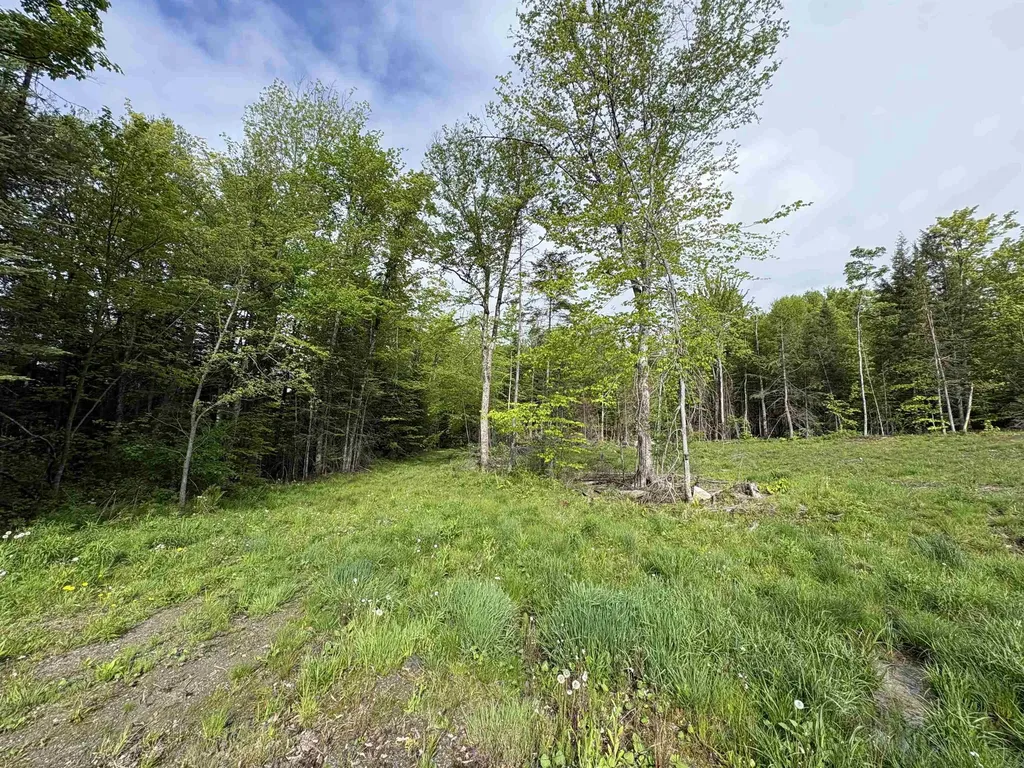 905 Peak Road Wheelock VT 05851