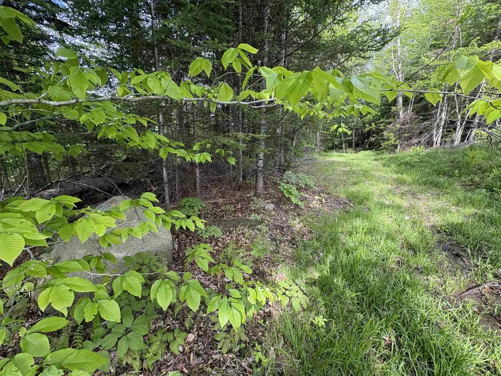 905 Peak Road Wheelock VT 05851