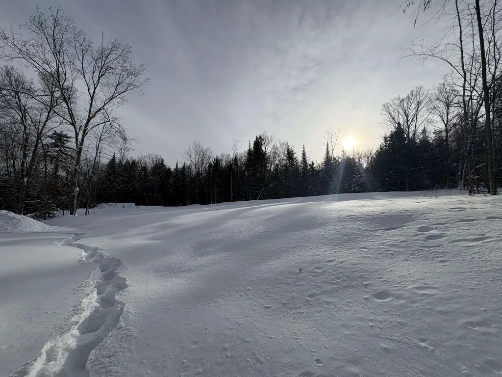 905 Peak Road Wheelock VT 05851