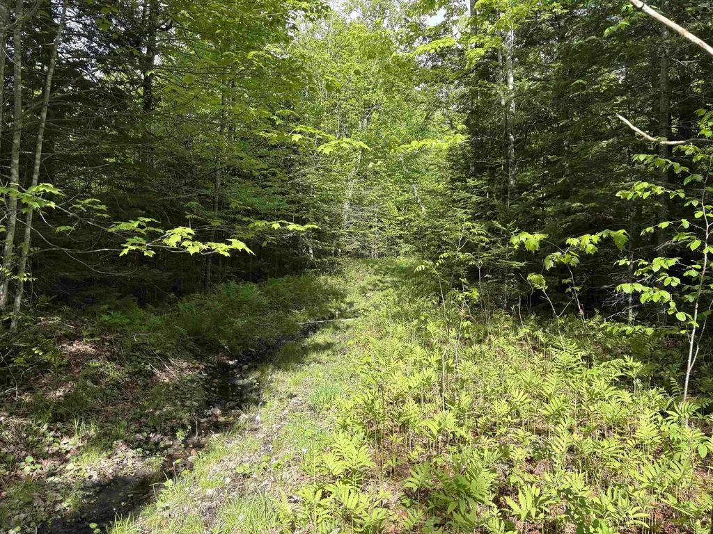 905 Peak Road Wheelock VT 05851