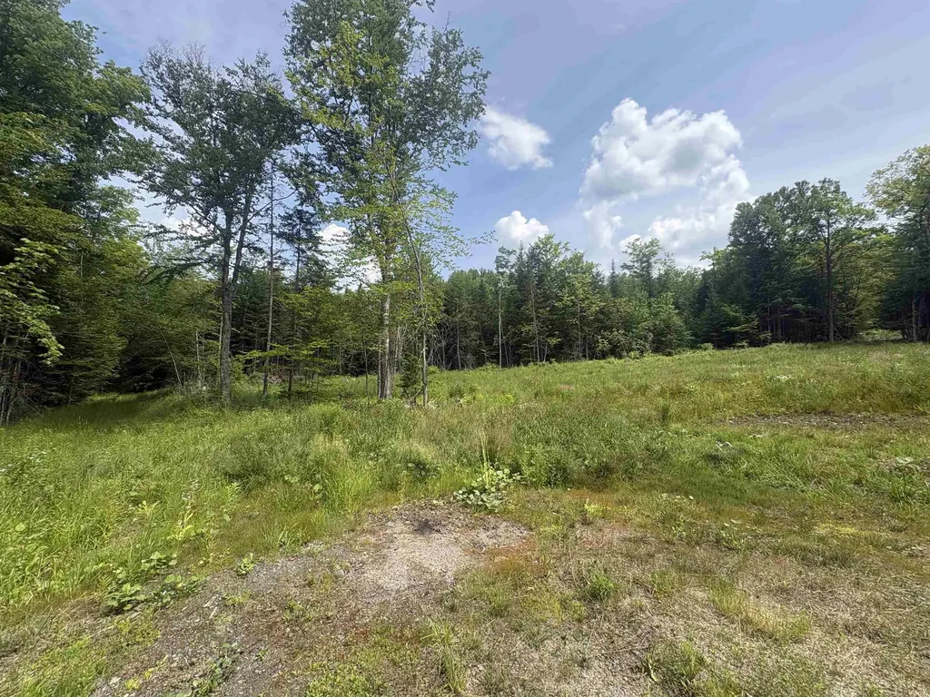 905 Peak Road Wheelock VT 05851
