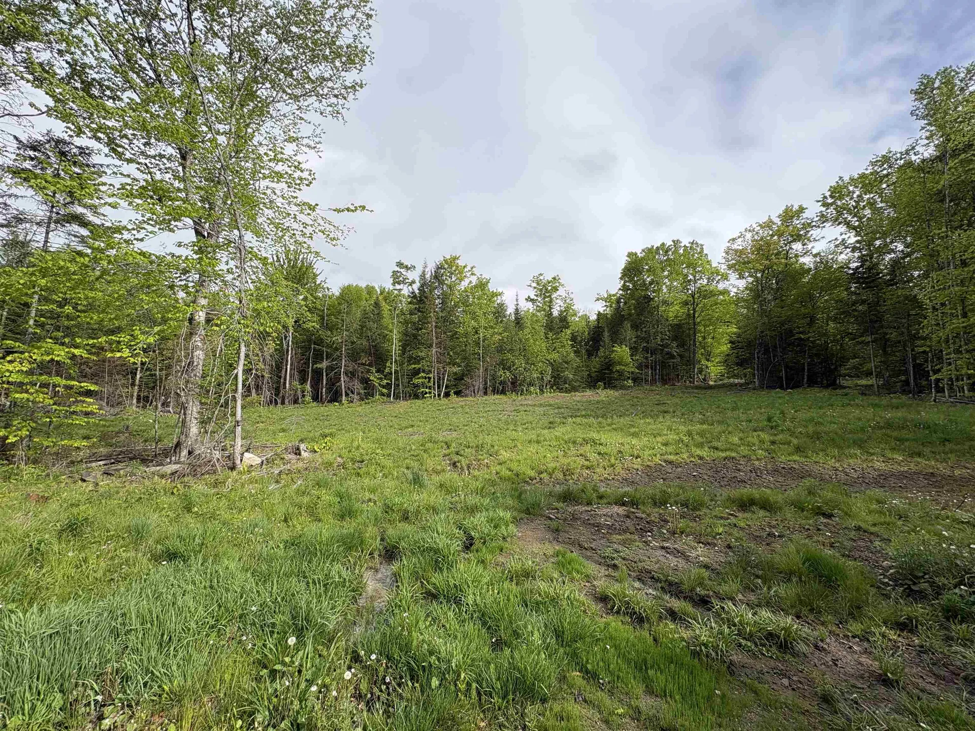 905 Peak Road Wheelock VT 05851