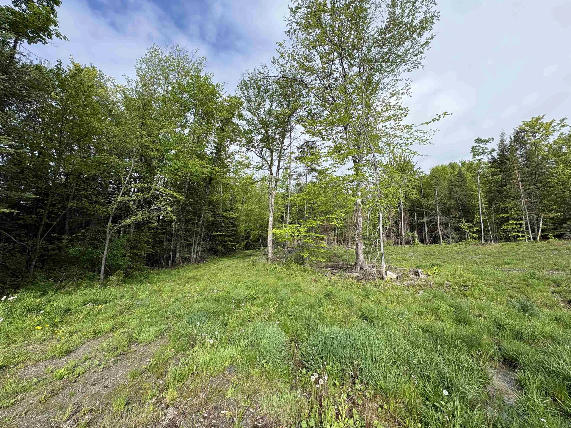 905 Peak Road Wheelock VT 05851