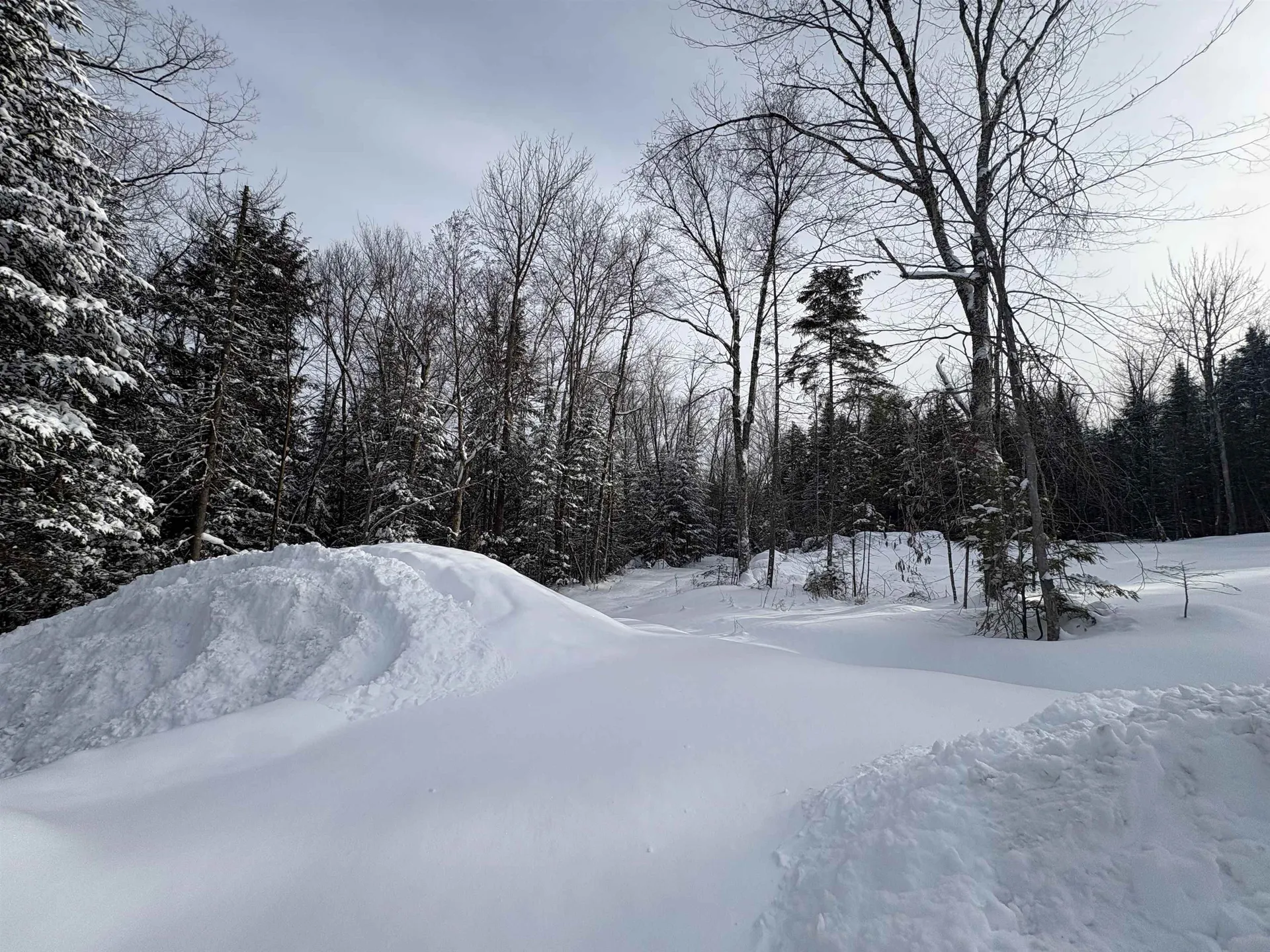 905 Peak Road Wheelock VT 05851