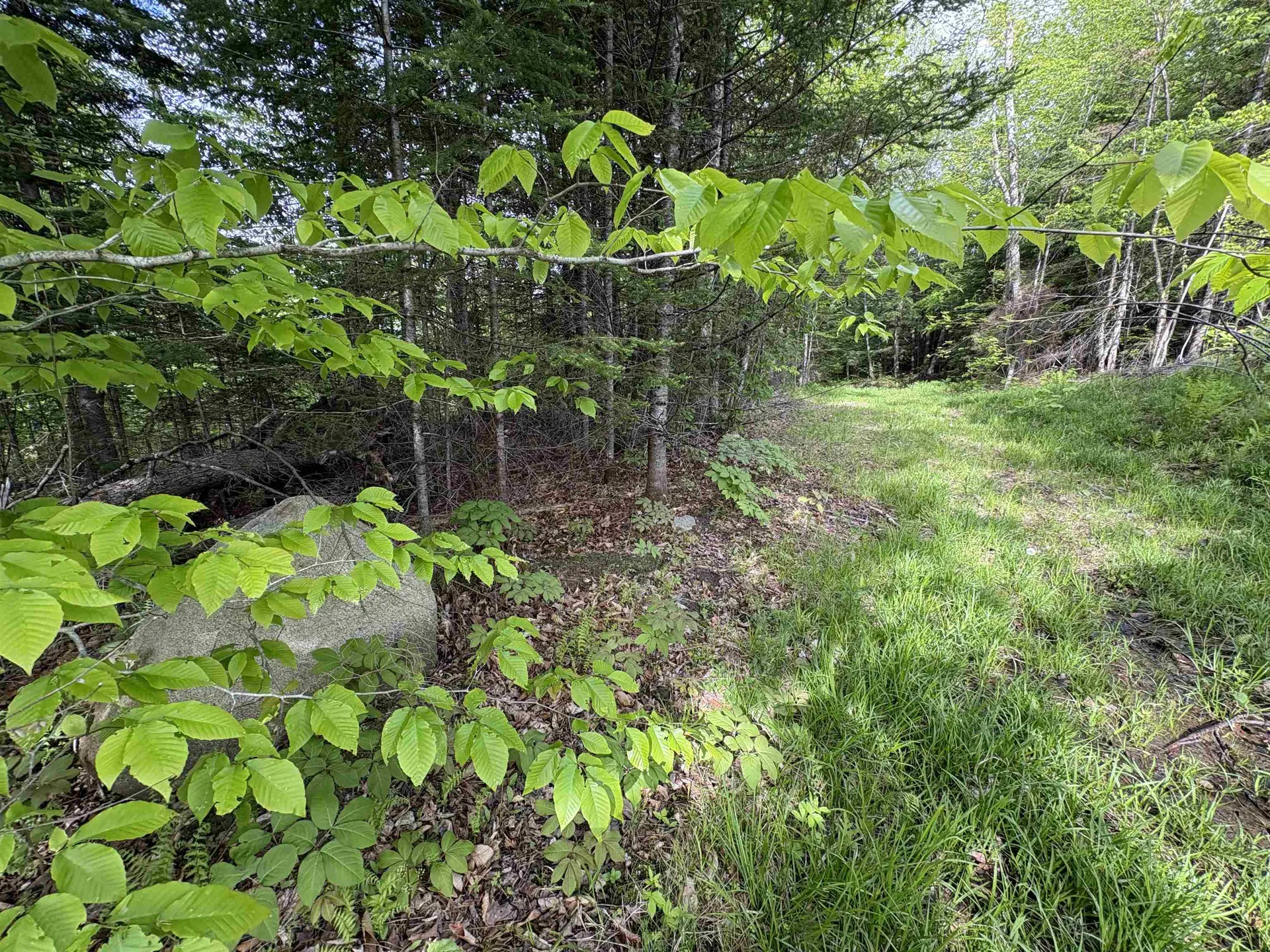 905 Peak Road Wheelock VT 05851