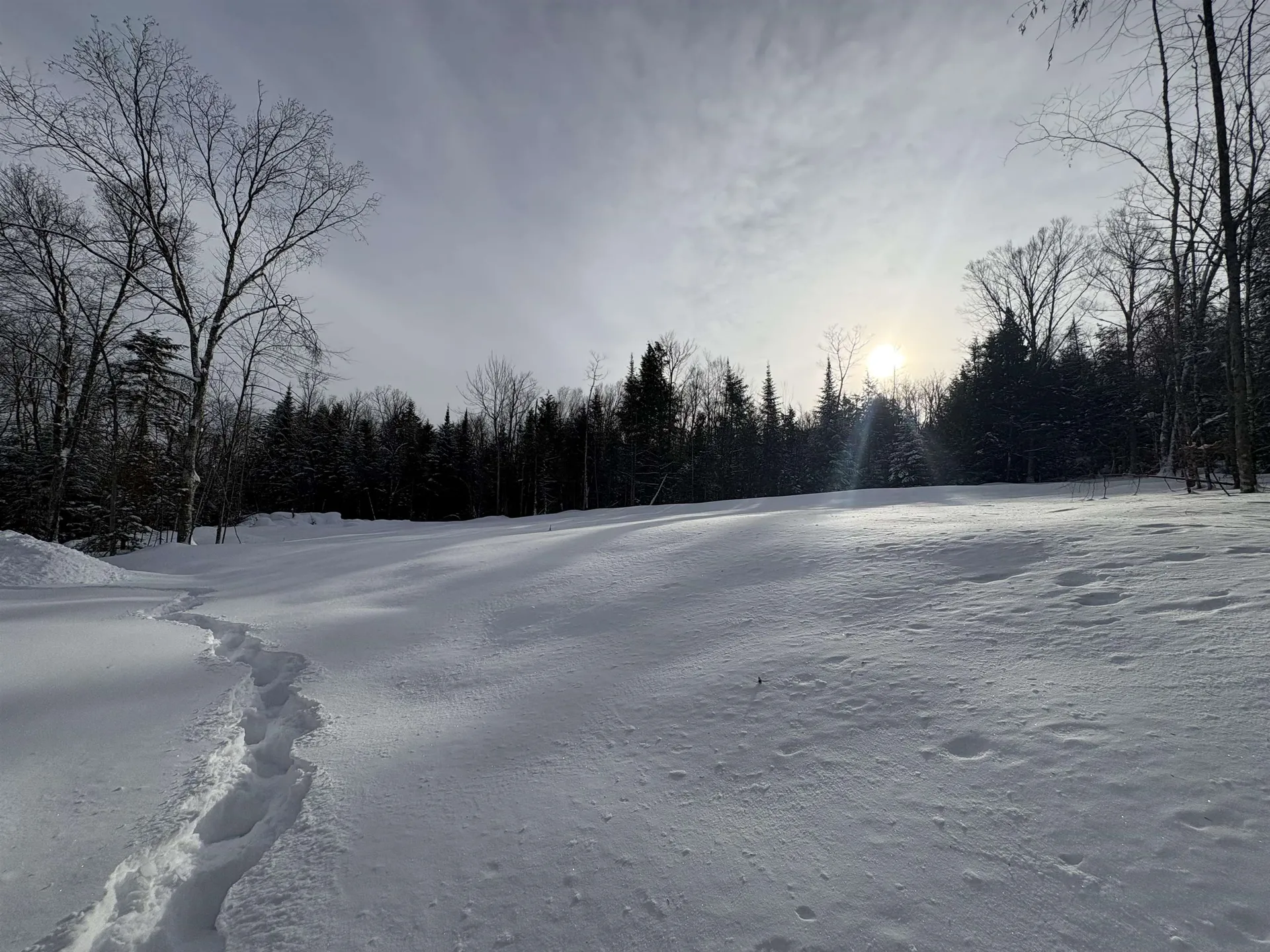 905 Peak Road Wheelock VT 05851