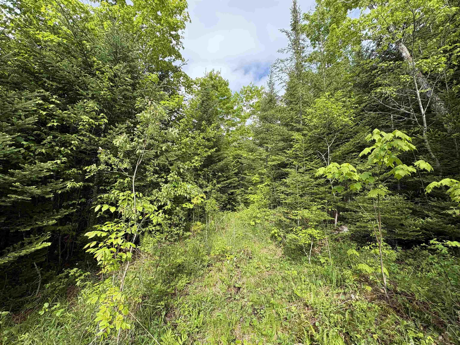 905 Peak Road Wheelock VT 05851