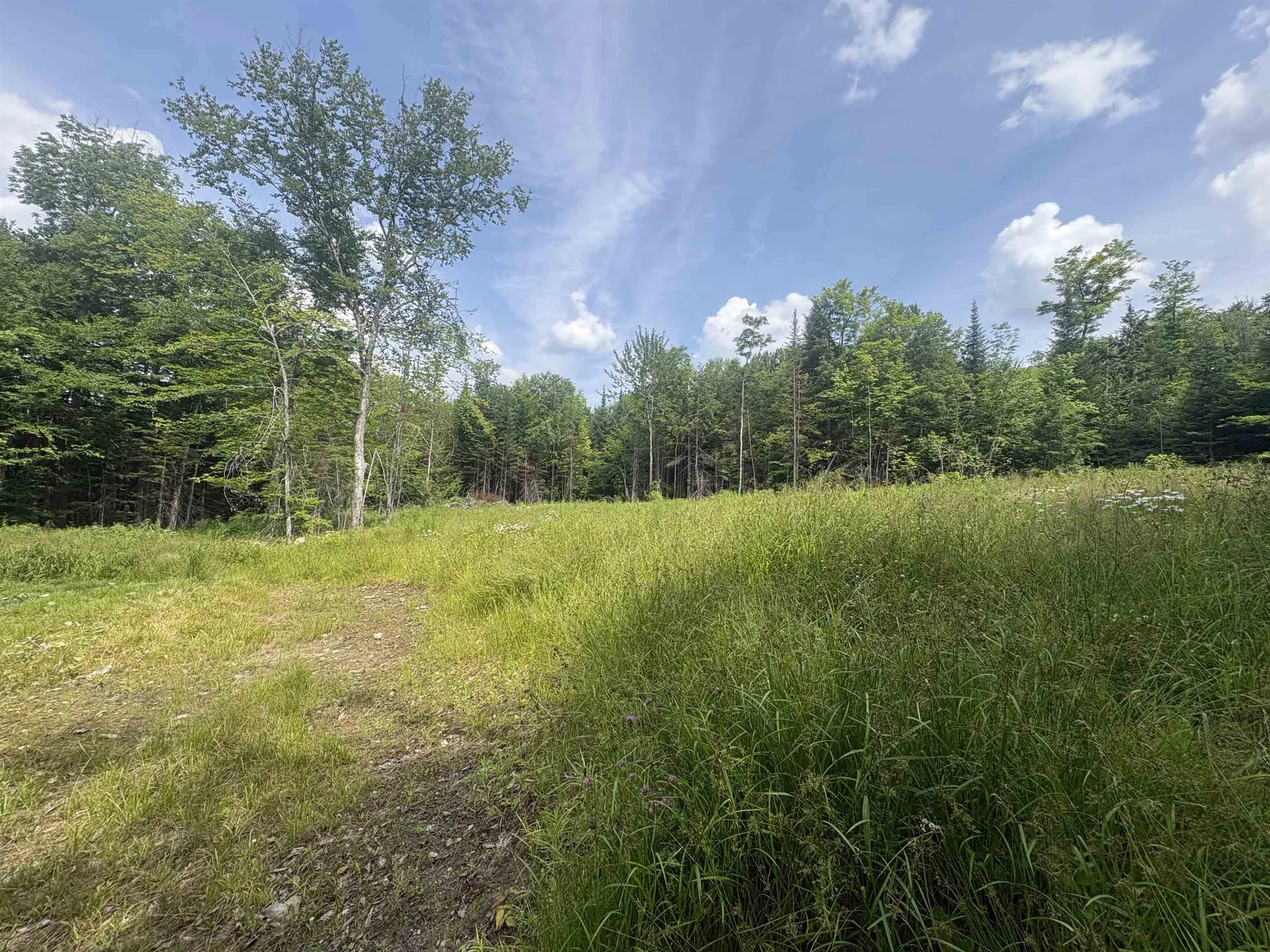 905 Peak Road Wheelock VT 05851