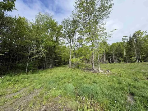 905 Peak Road Wheelock VT 05851
