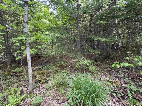 905 Peak Road Wheelock VT 05851