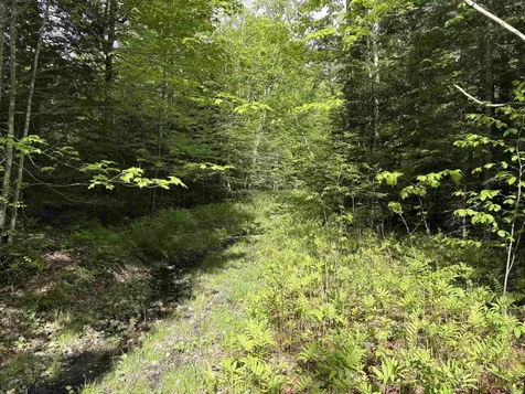 905 Peak Road Wheelock VT 05851