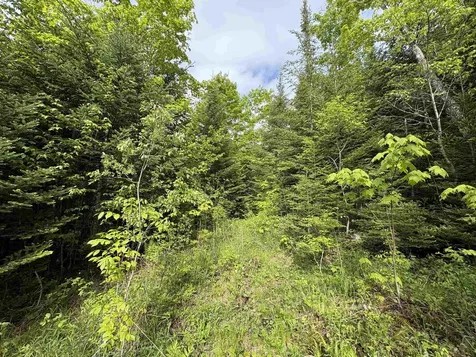 905 Peak Road Wheelock VT 05851