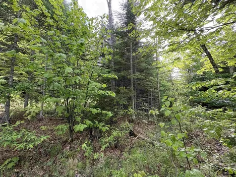 905 Peak Road Wheelock VT 05851