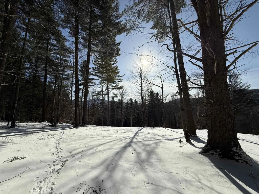 00 Brook Road Warren VT 05674